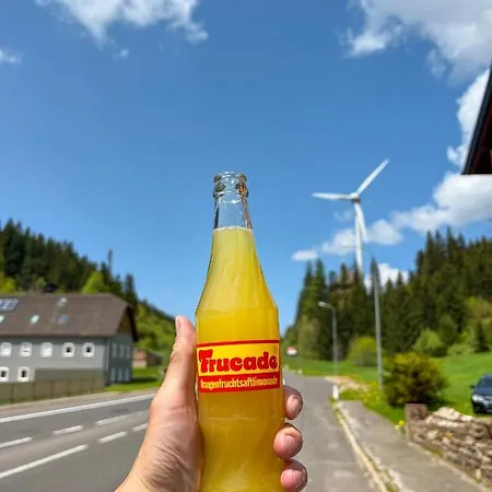 Alpenrose Hostel