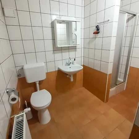 Alpenrose Hostel *