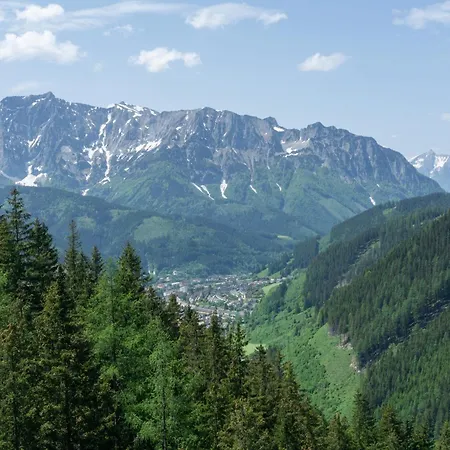 Alpenrose