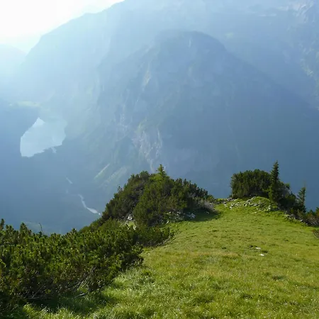 Alpenrose Prabichl
