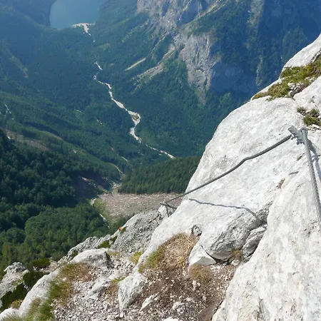 Alpenrose * Пребихль