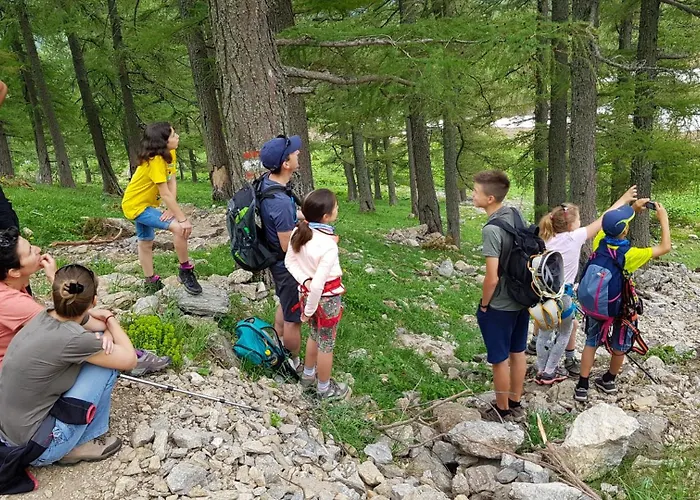 Alpenrose * Präbichl